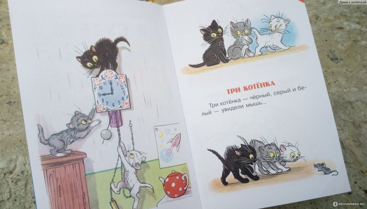 Рассказы в картинках Сутеева