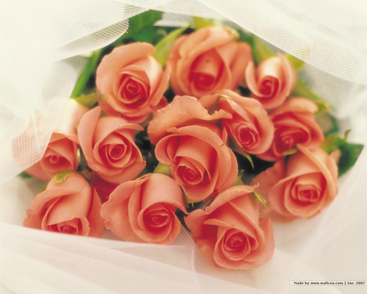 Красивые открытки для девушки