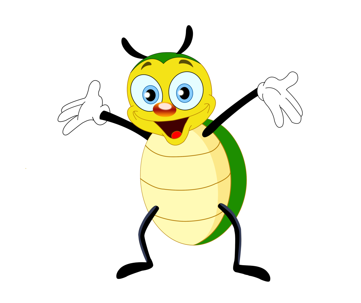 Жесткокрылые жуки на белом фоне