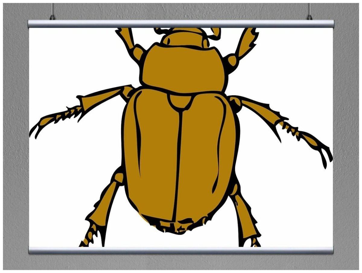 Толстый Жук рисунок