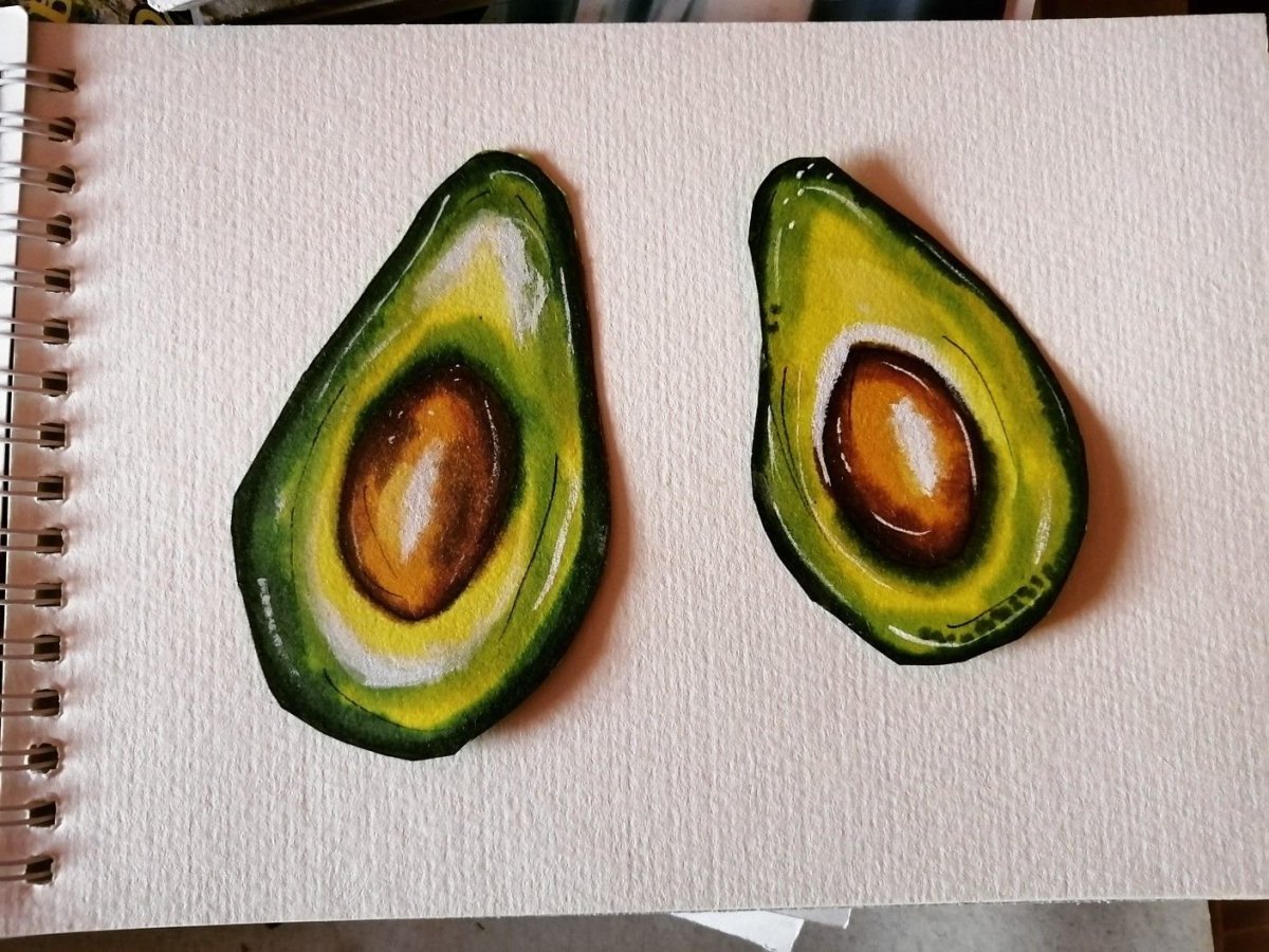Авокадо рисунок карандашом