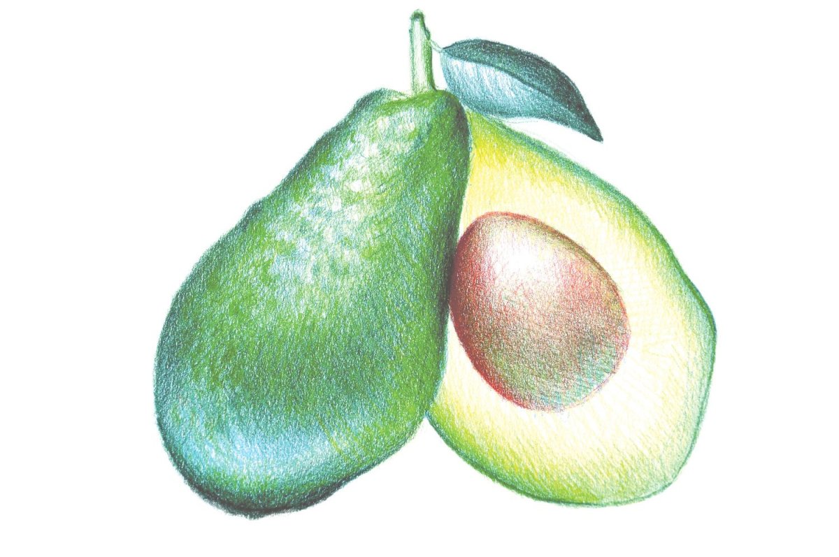 Авокадо мультяшный