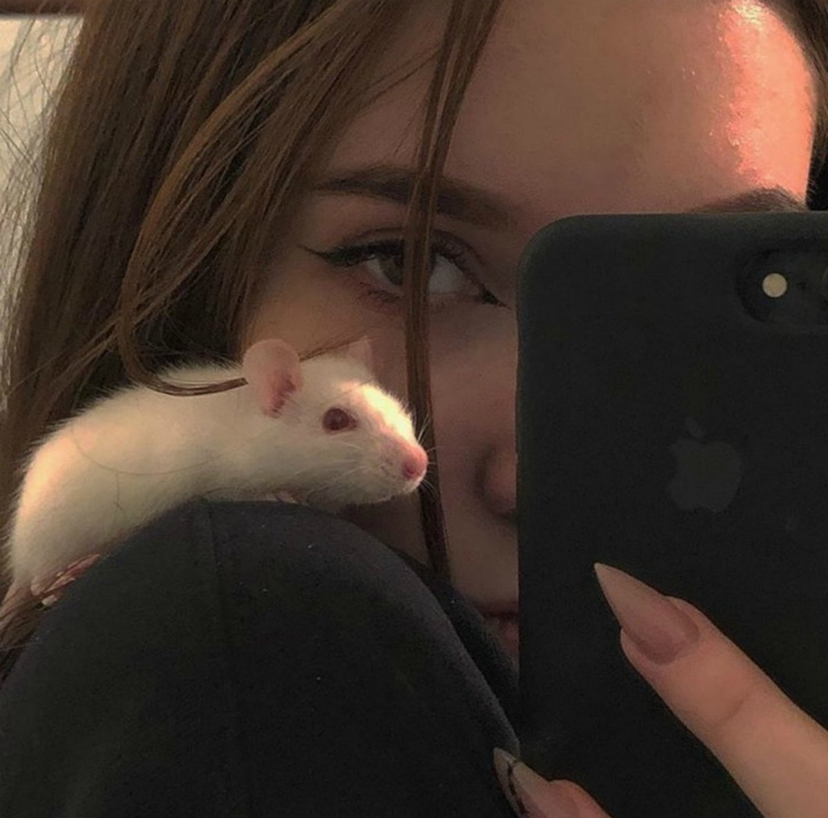 Сердечко из крыс