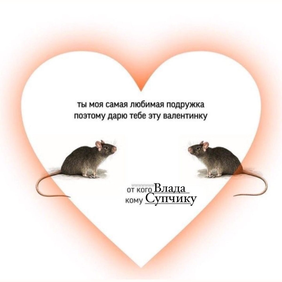 Сердечко из крыс