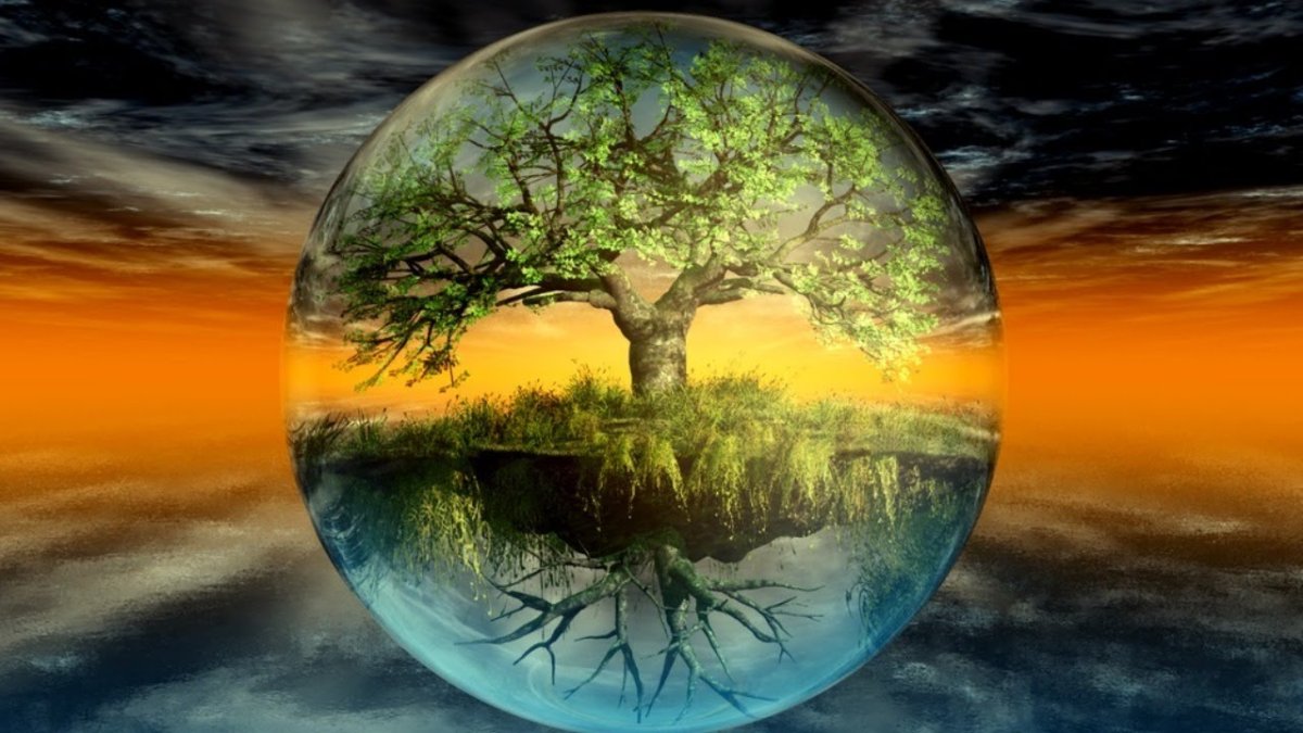 Эзотерика дерево жизни