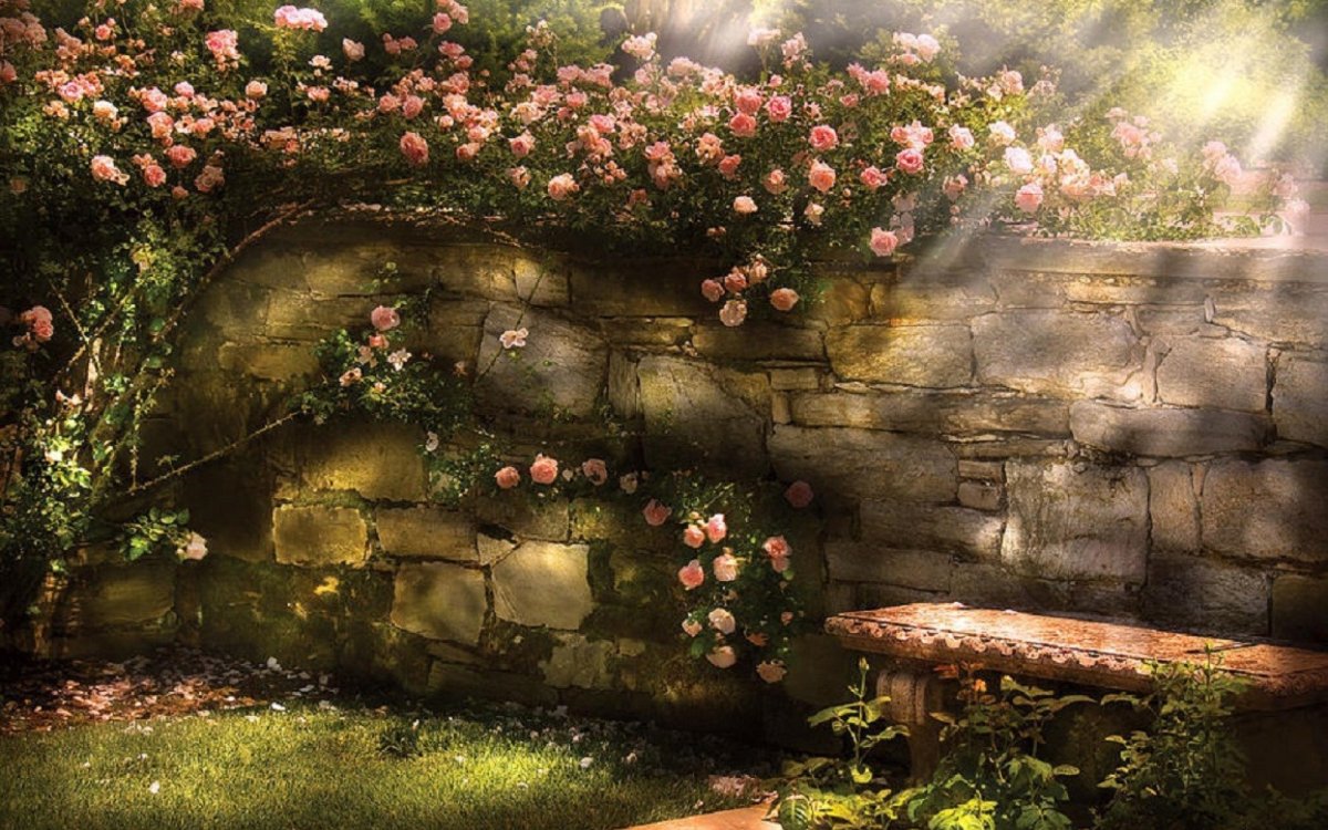 Дивные тайные сады