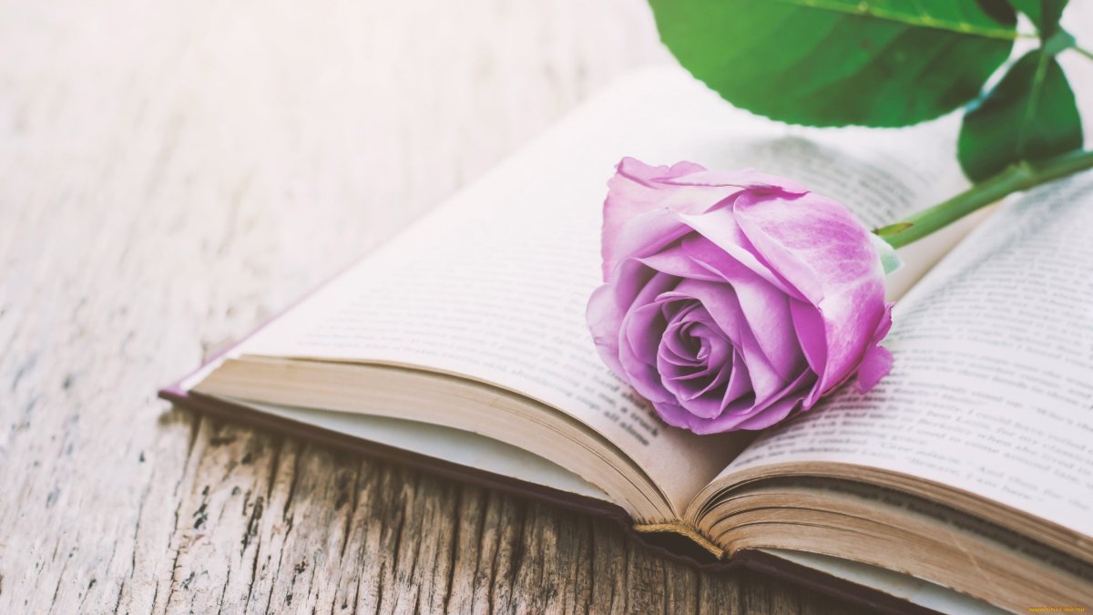 Книга с цветами