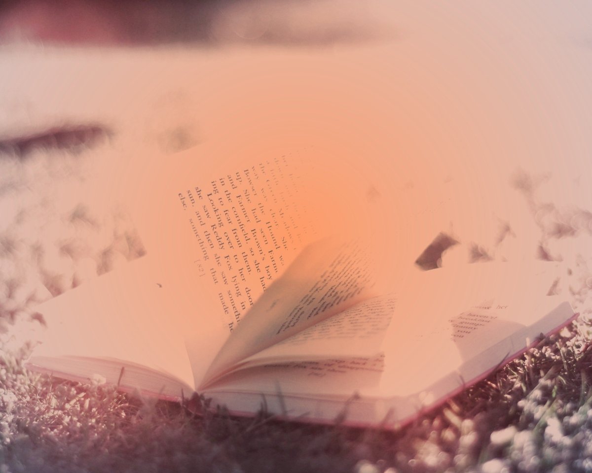 Красивый фон с книгами