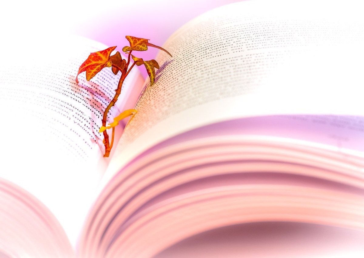 Поэзия абстракция