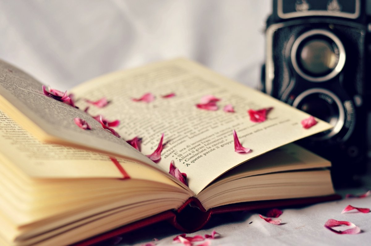 Красивые книги