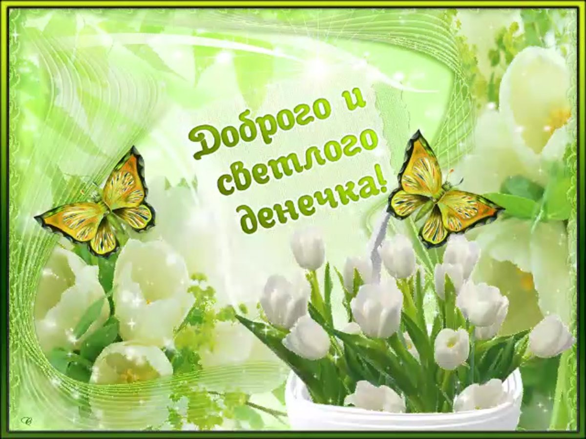 Доброго денечка