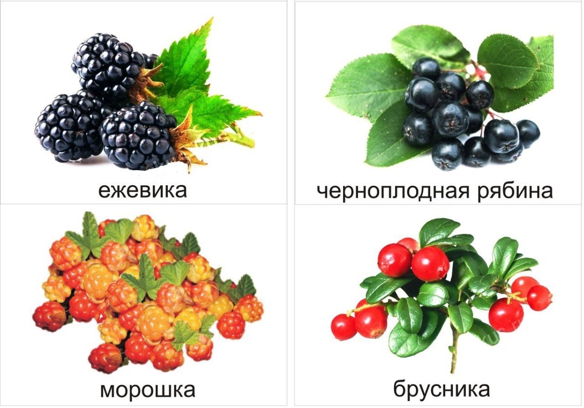 Ежевика с глазками