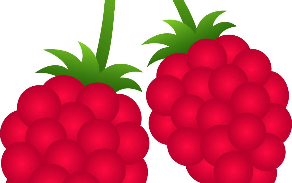 Ежевика мультяшная