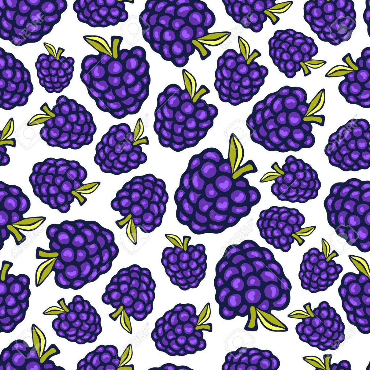 Ежевика карточки для детей