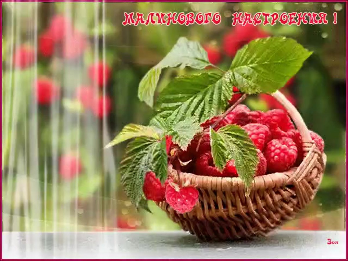 Открытка прекрасного настроения на целый день