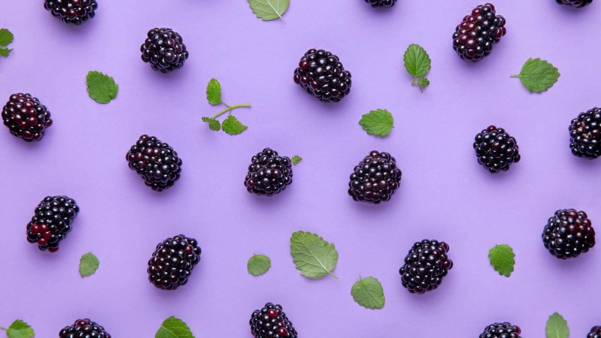 Ежевика и шелковица