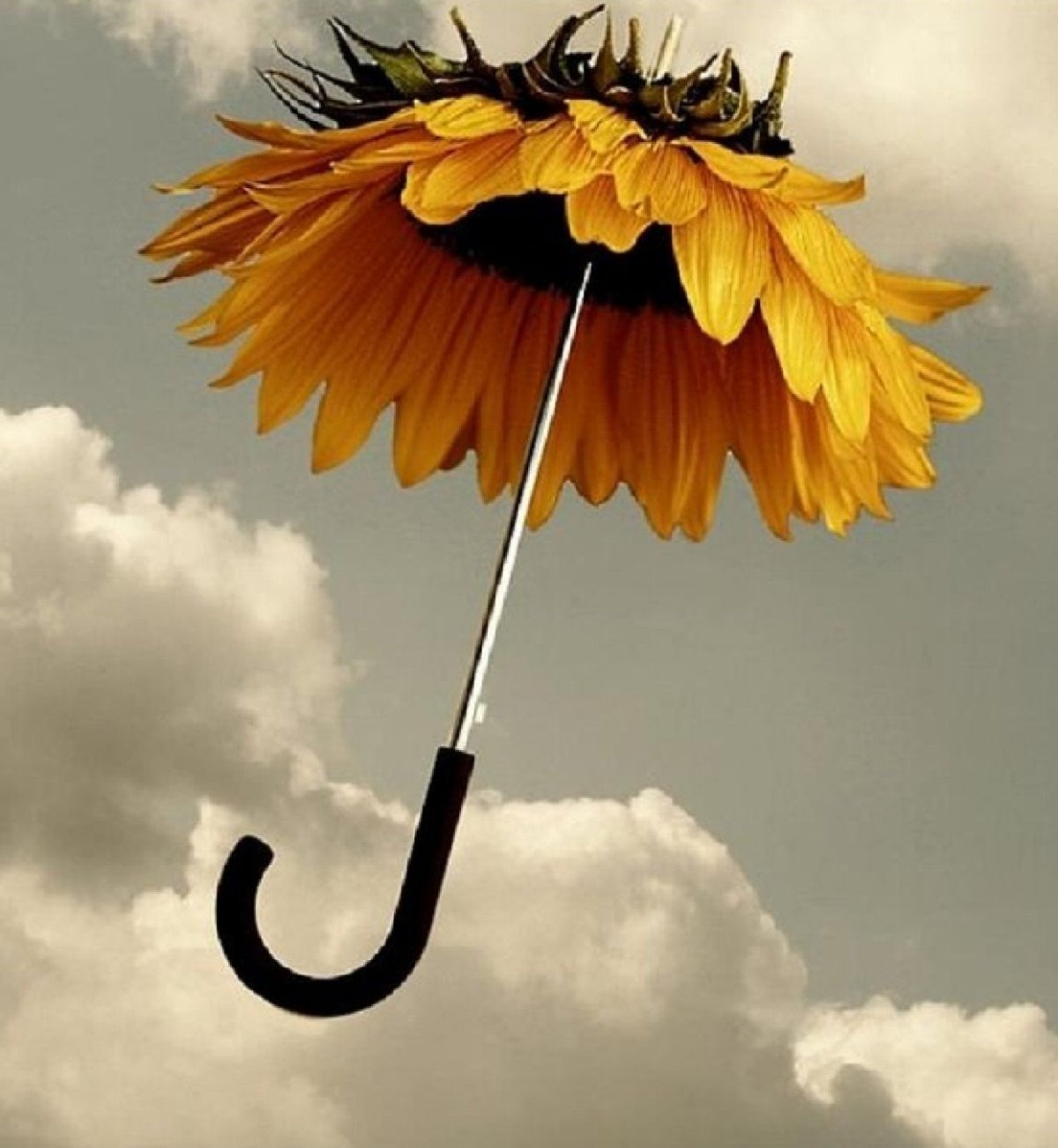 Хорошего нас иоения в лю.ую МОГОДК