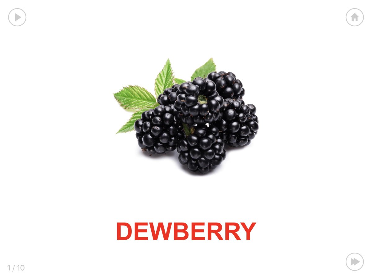 Ежевика орнамент