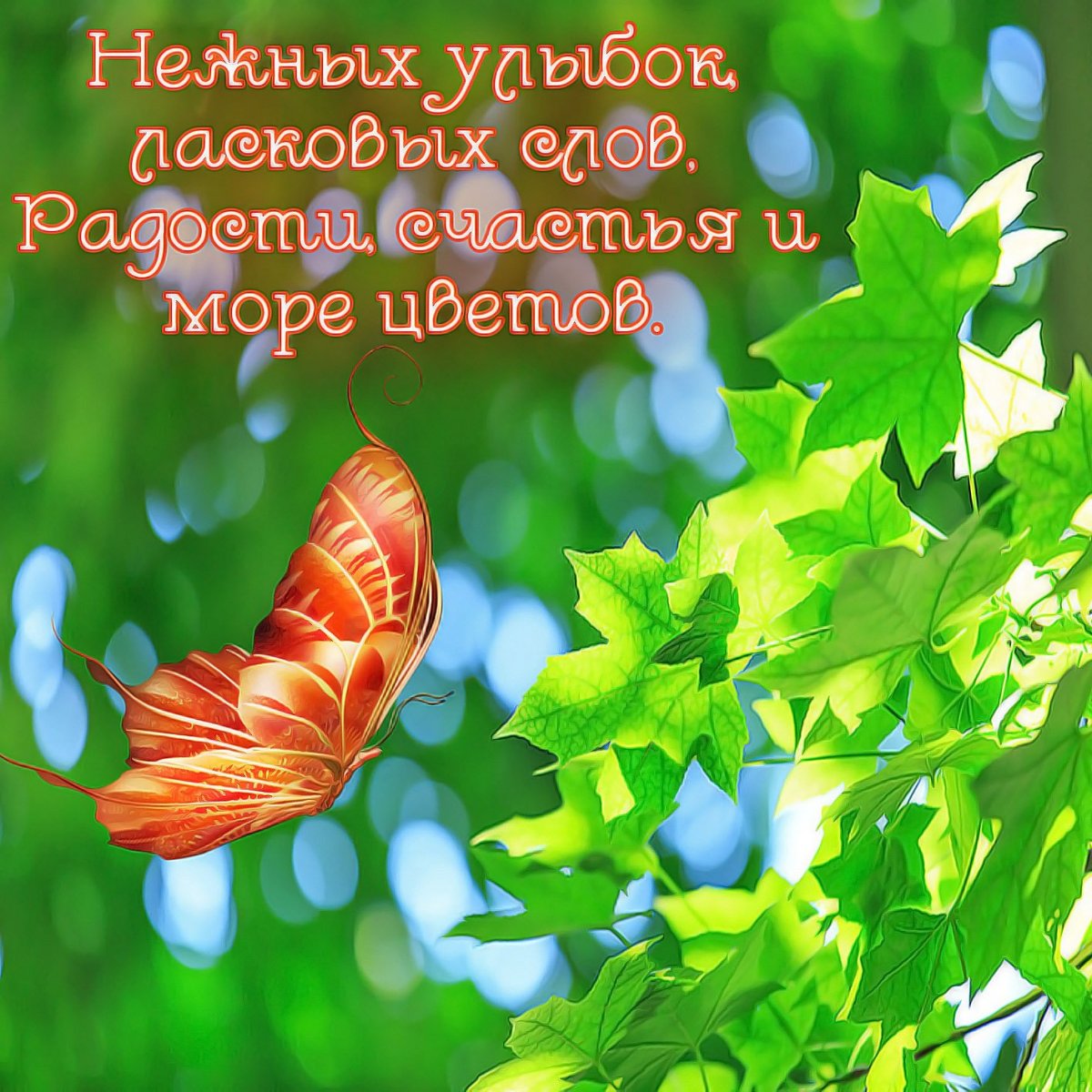 Доброе утро солнечного настроения