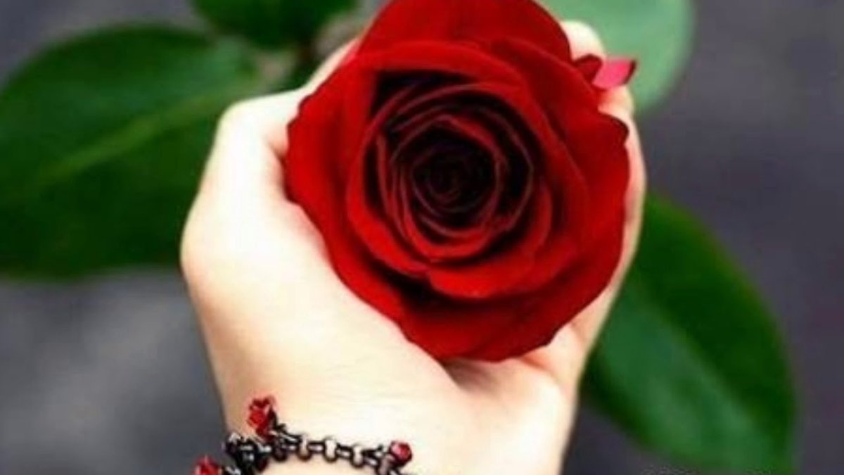 Красивые цветы на профиль