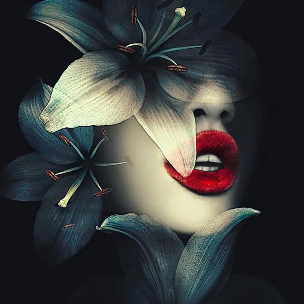 Тень девушки