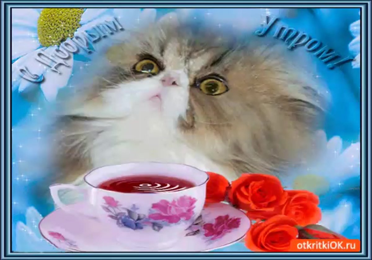 С добрым утром красивые открыточки пожалуйста