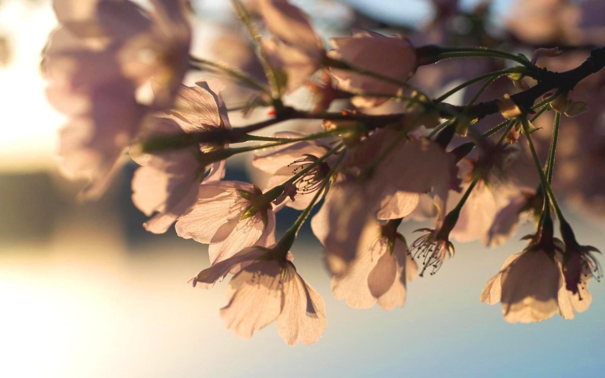 Весеннее настроение