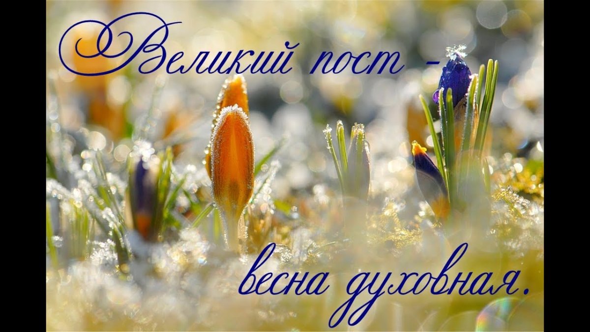 Солнечный весенний день