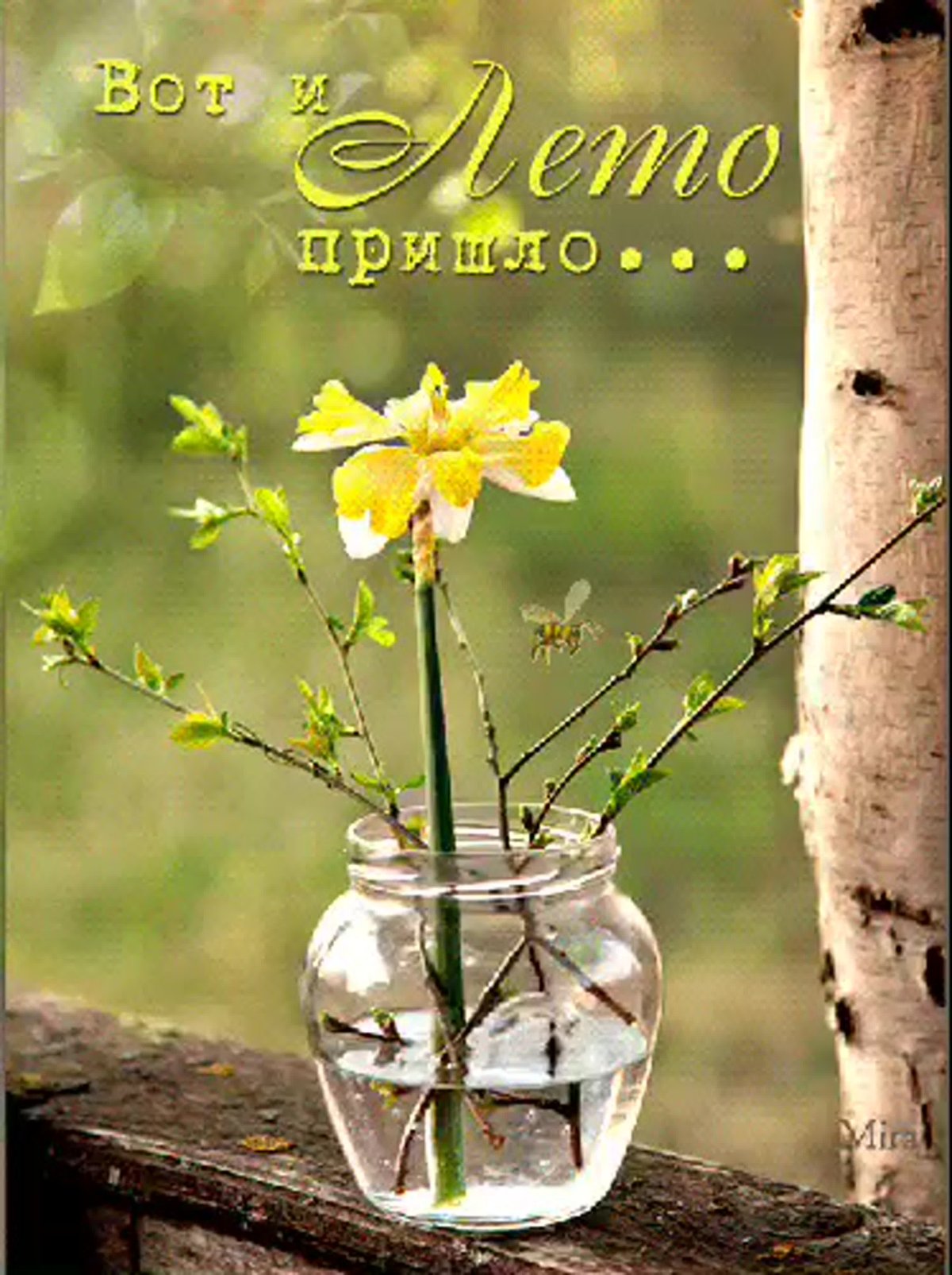 Весна почки распускаются