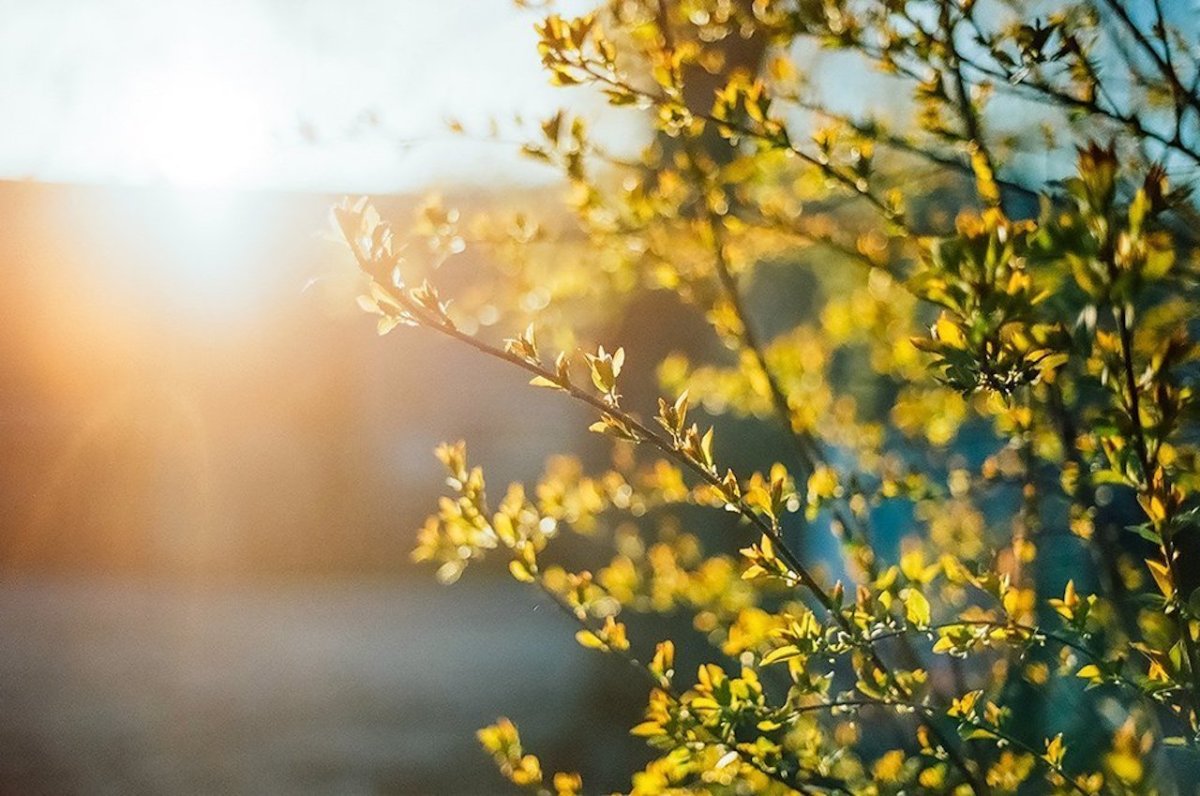 Весеннее солнечное небо