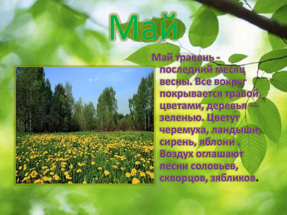 Животные весной для детей