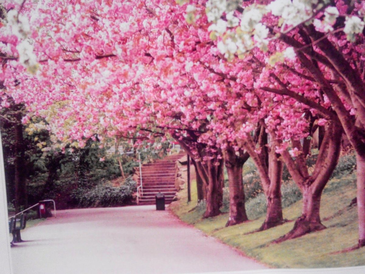 Весенняя Эстетика