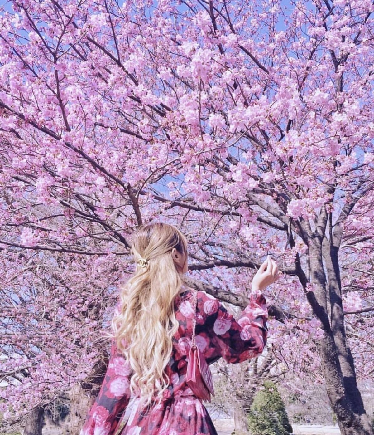 Весенняя ава