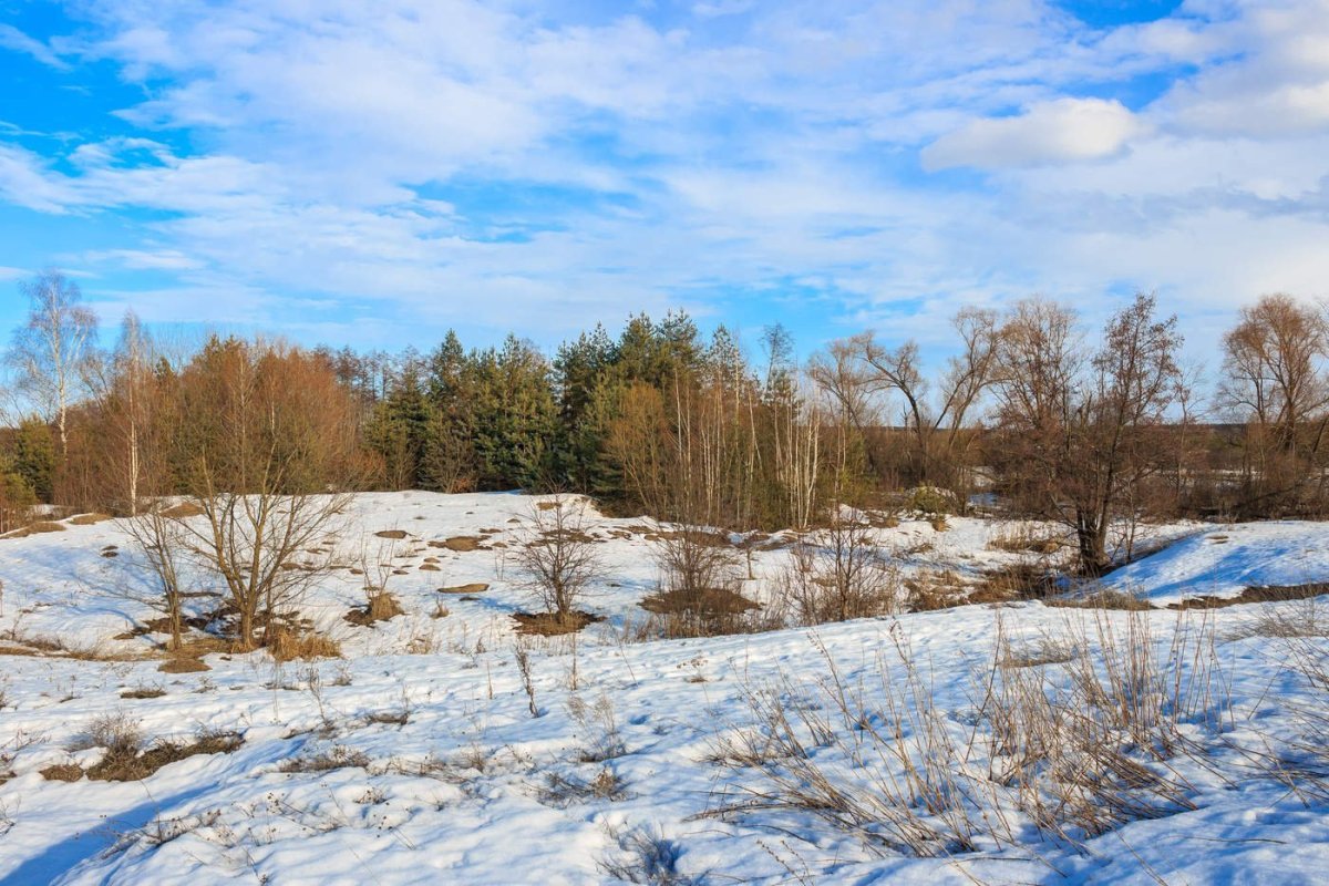 Ручейки весной