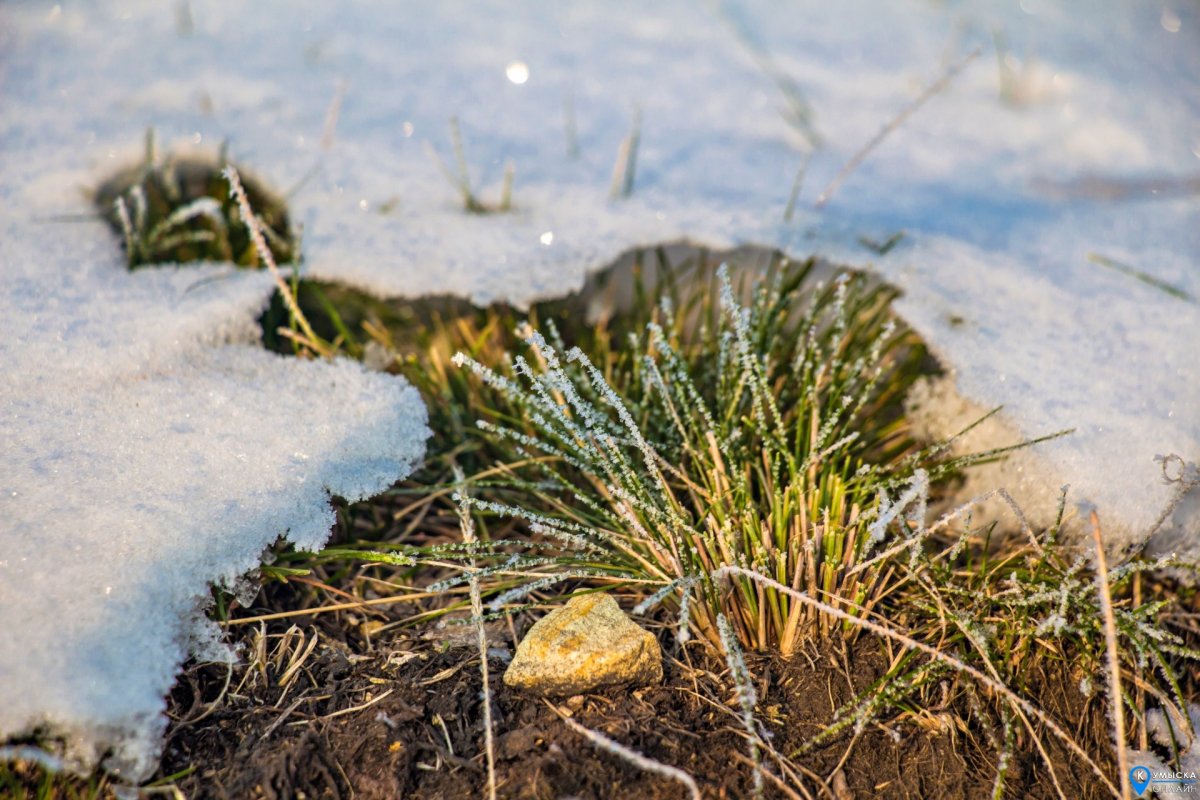 Раскраска весенние проталины