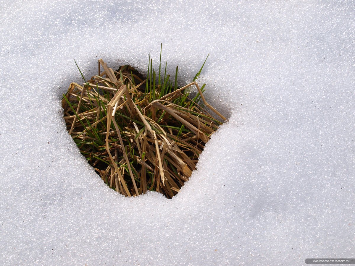 Ручеек для детей