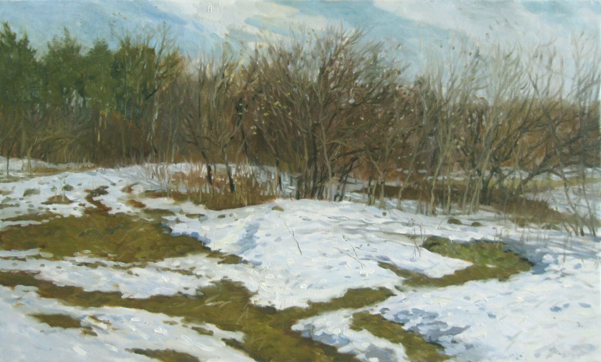 Снежные проталины