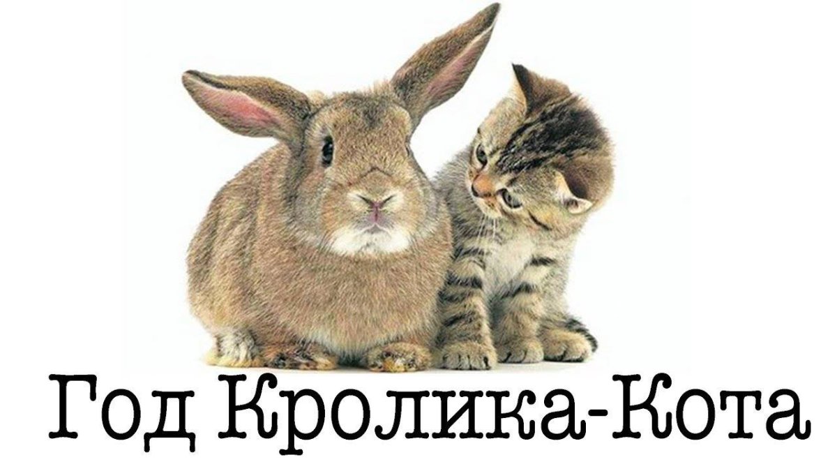 Котенок и Зайчонок