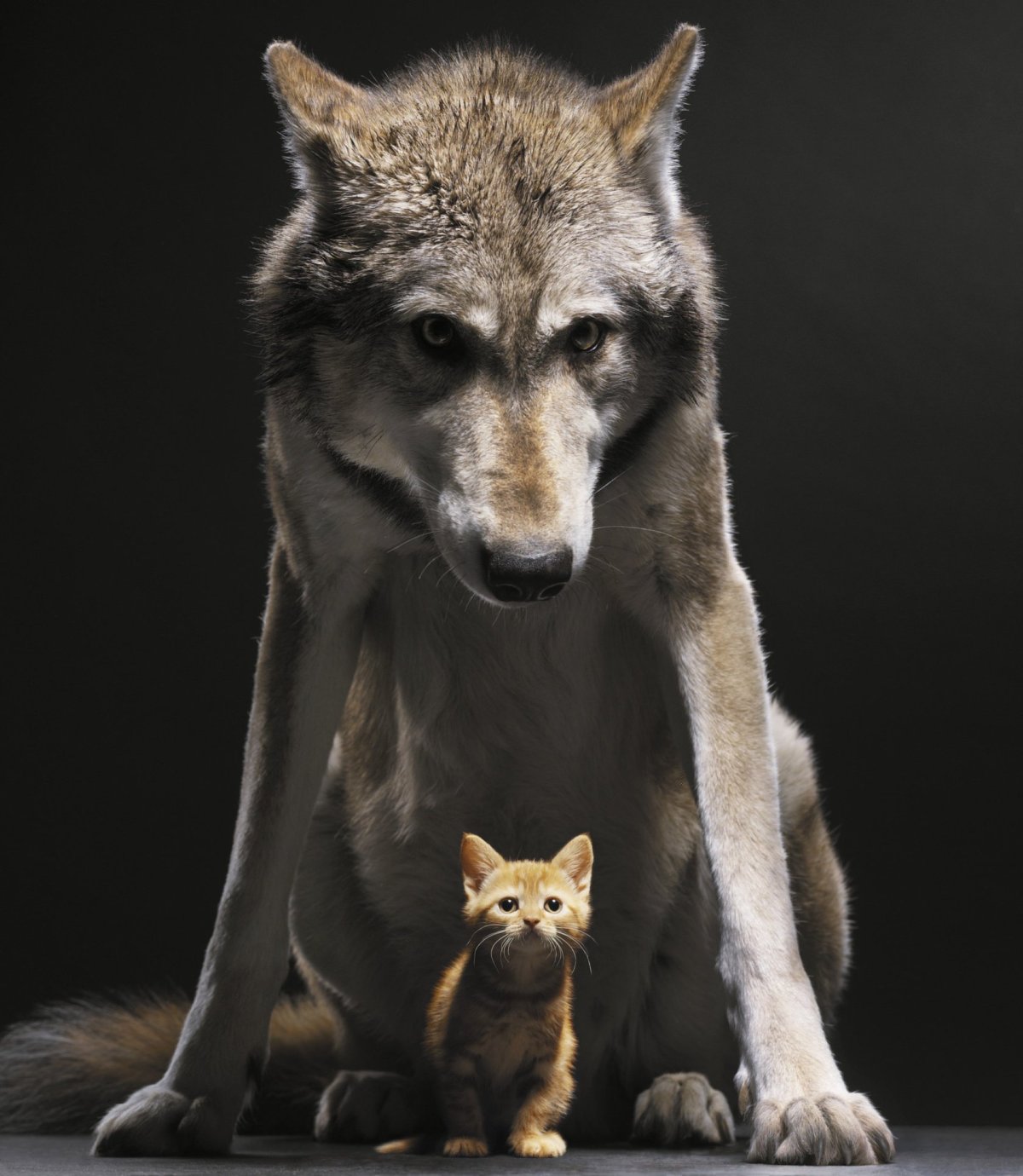 Доброе утро хорошего