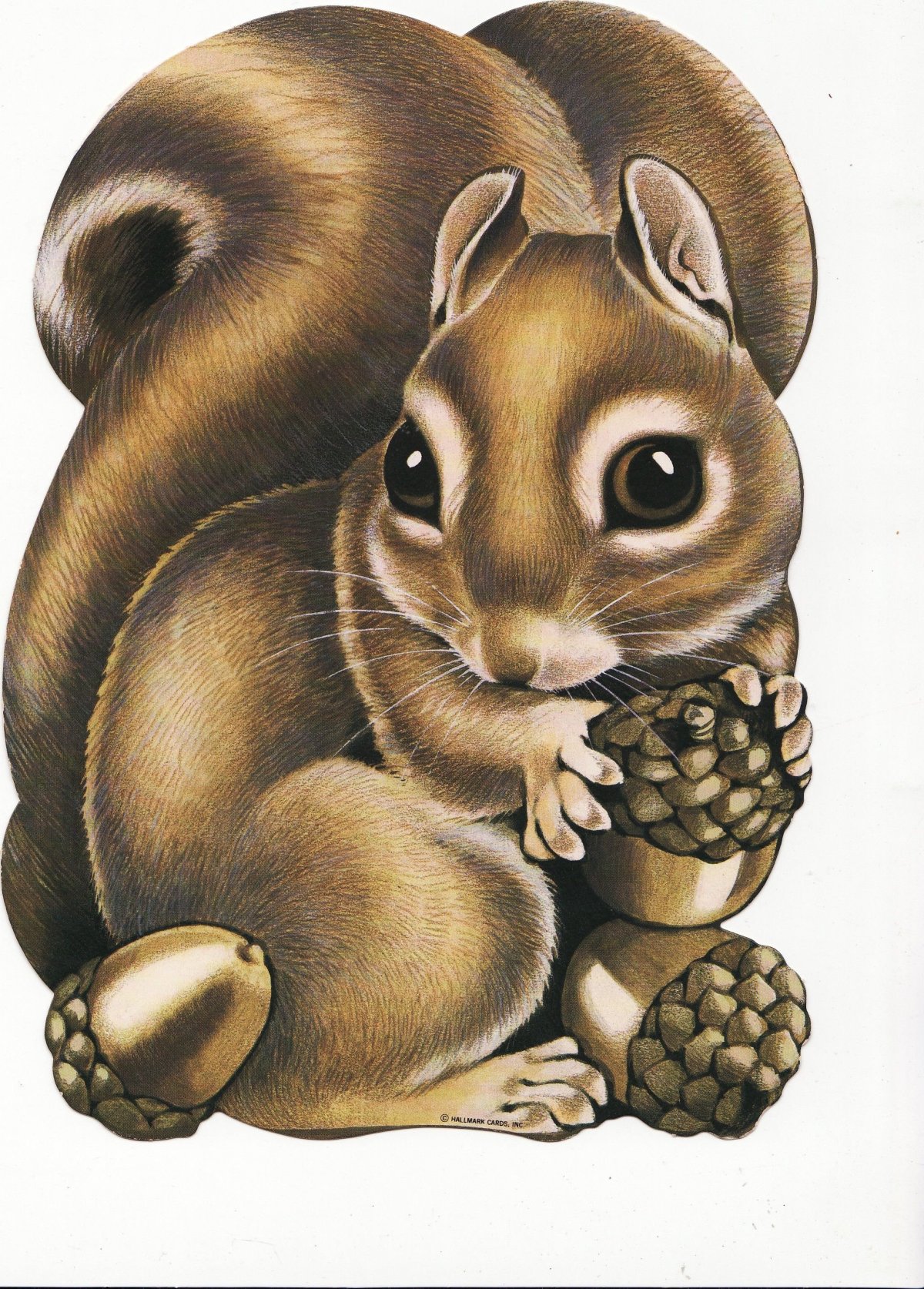 Бурундук рисунок