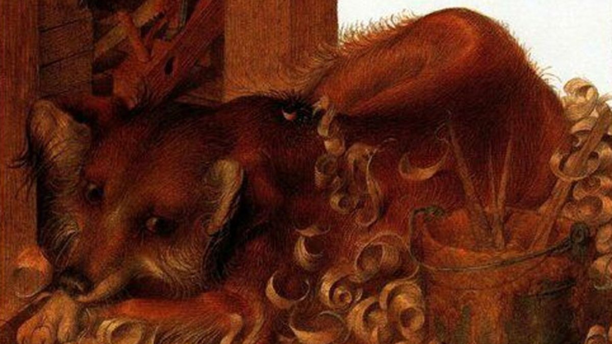 Каштанка рисунок