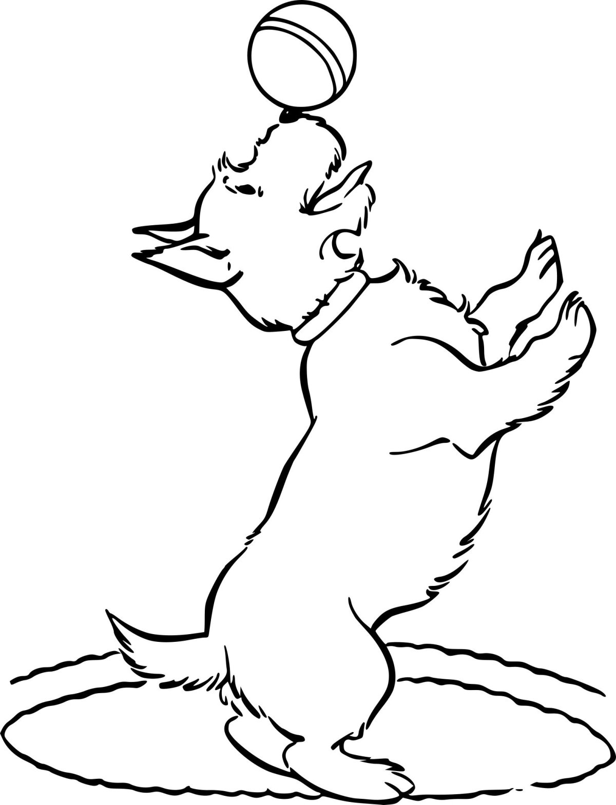 Картинки из мультфильма каштанка