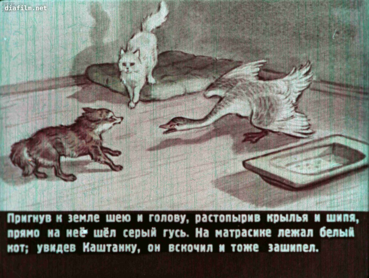 Наталья Демидова художник-иллюстратор