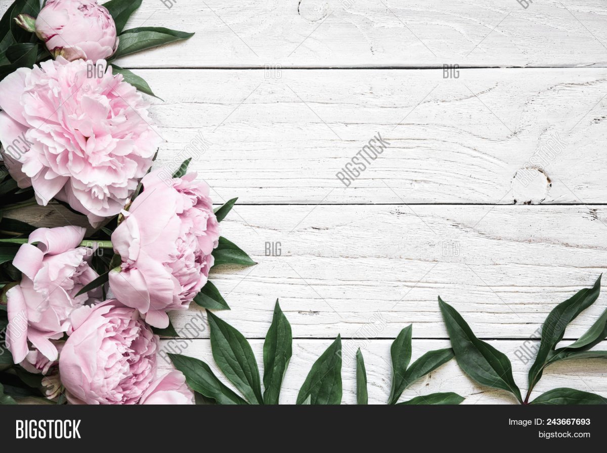 Фотофон дерево с пионами