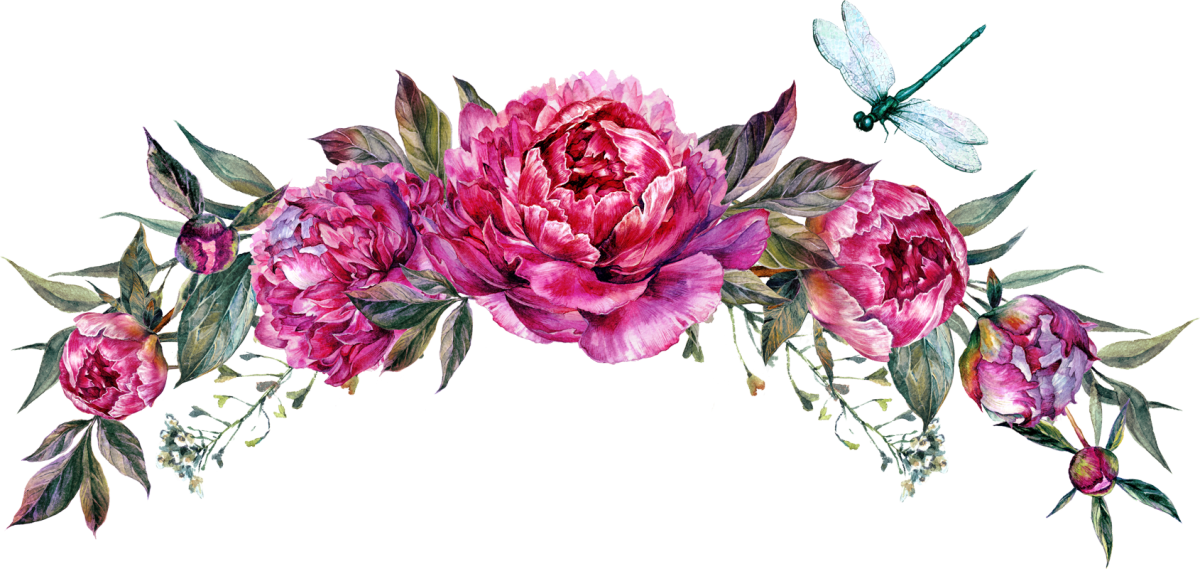 Пионы Пинтерест