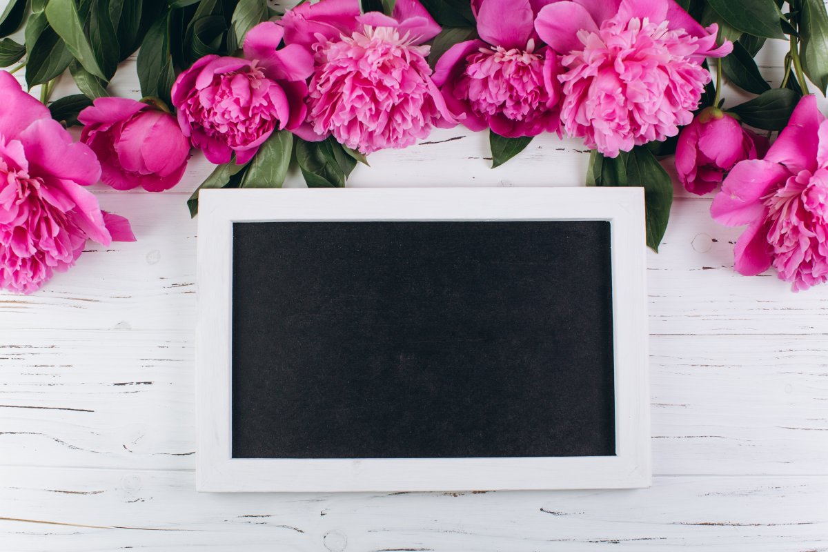 Пионы бутоновидные