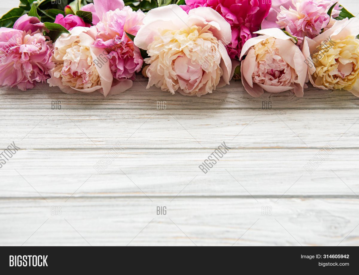 Пионы на белых досках