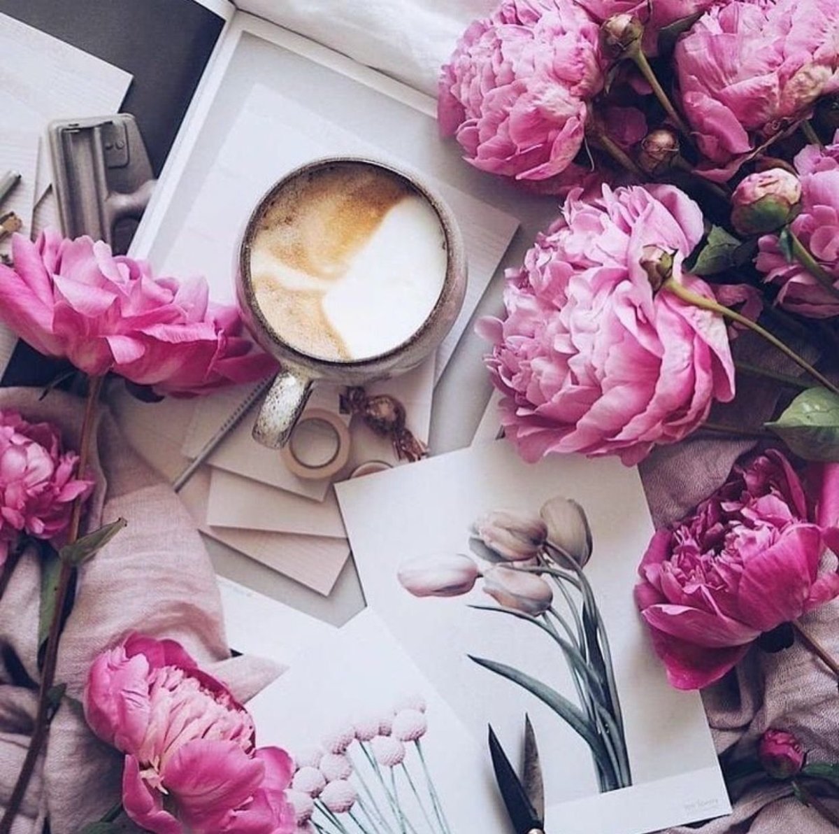 Пионы Эстетика