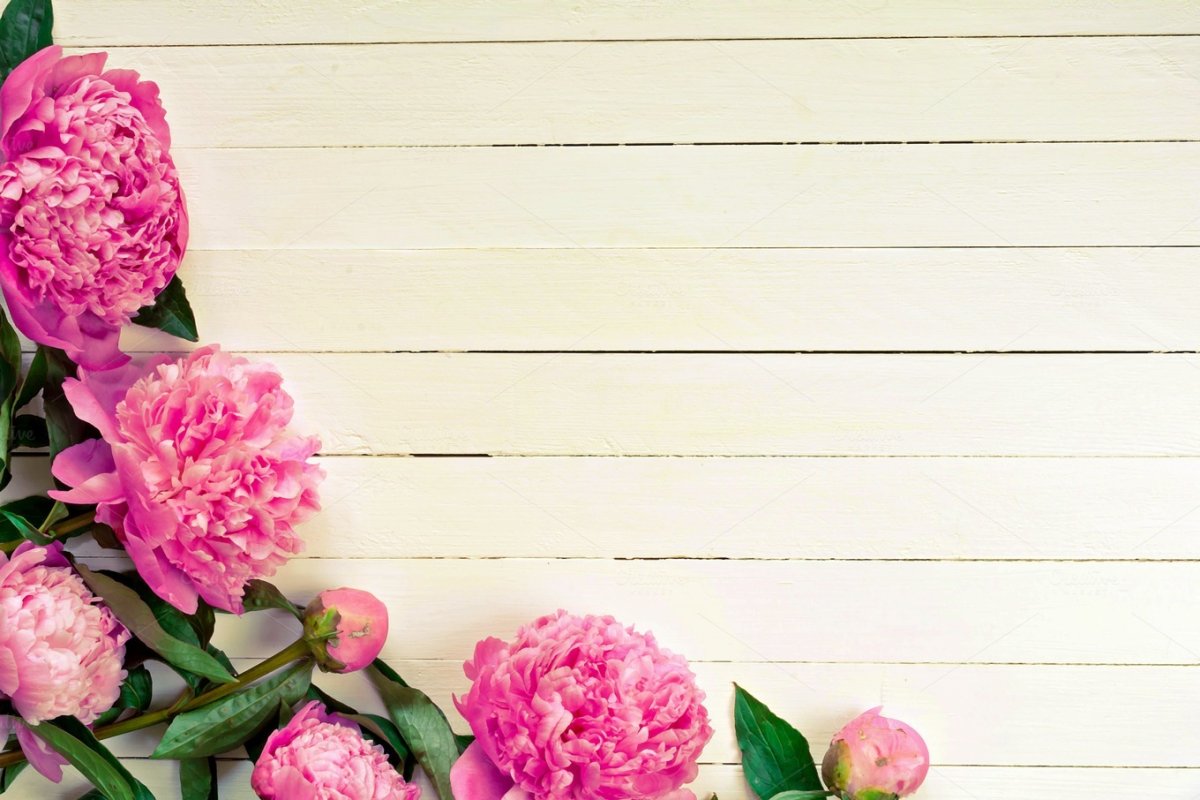 Цветы акварель Эстетика