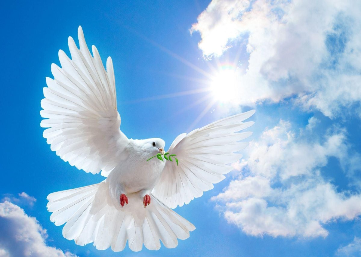 Символ мира и добра